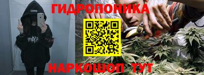 jwh Будённовск