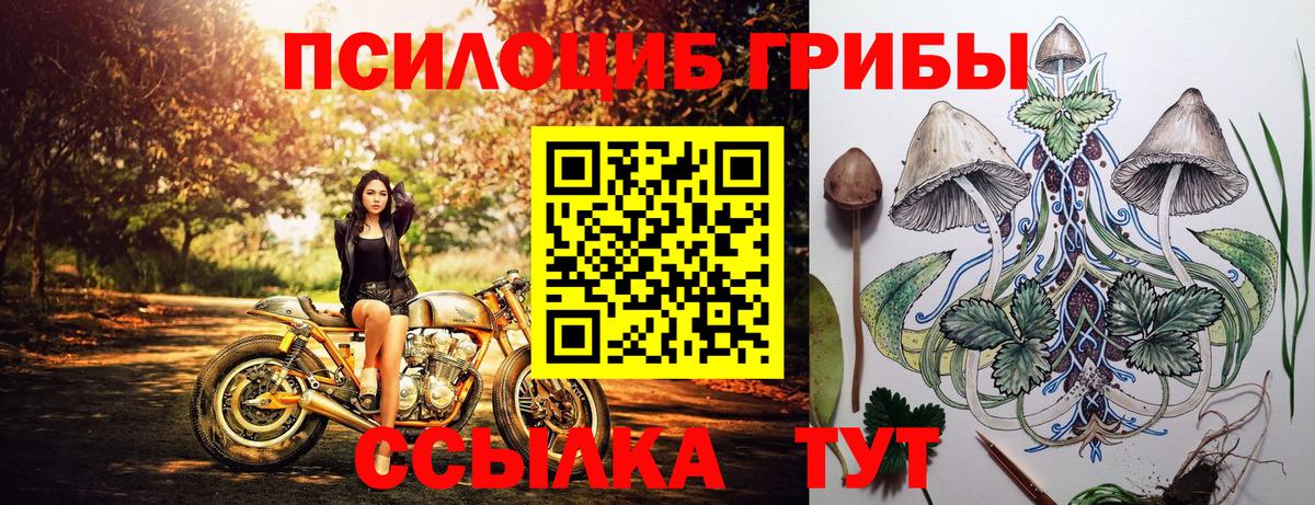 Псилоцибиновые грибы Psilocybine cubensis  Галлюциногенные грибы MAGIC MUSHROOMS  Удомля  Вход с VPN 
