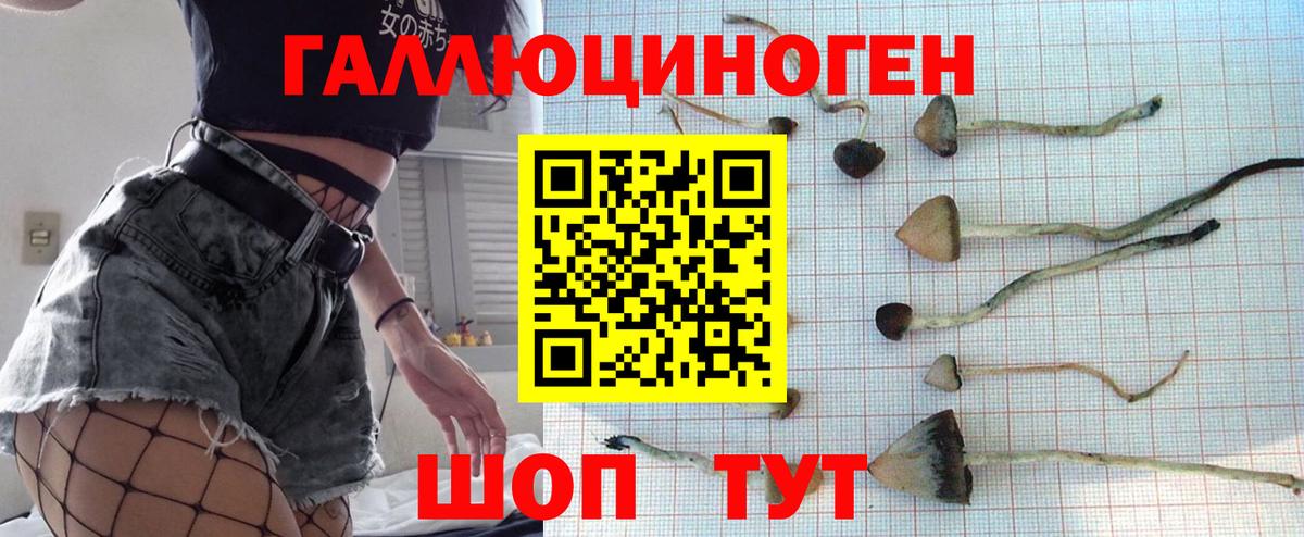 Псилоцибиновые грибы Psilocybe Удомля